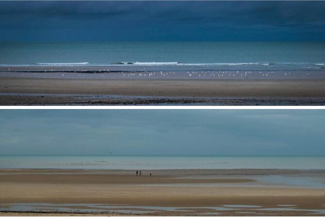 Omaha Highlights Tour With a DDAY Expert From Bayeux - Logistical Details