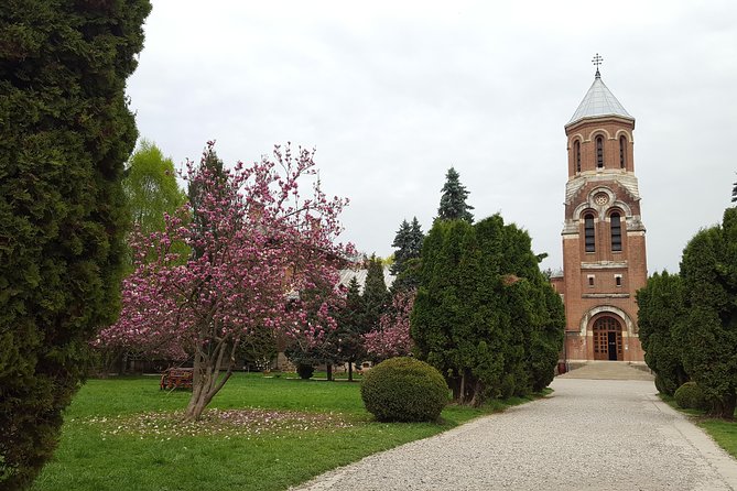 On Dracula Footsteps Full Day Tour Small Group - Since You Asked