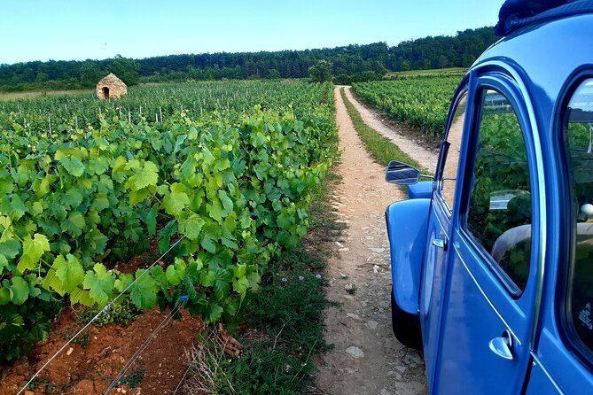 On the Road Again - Discovering Château De Pommard
