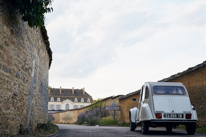 On the Road Again - Exploring Biodynamic Plots