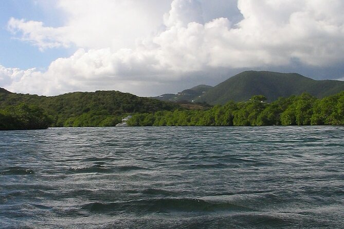 On Your Own: Kayak in the Mangrove Lagoon - Tour Schedule and Duration