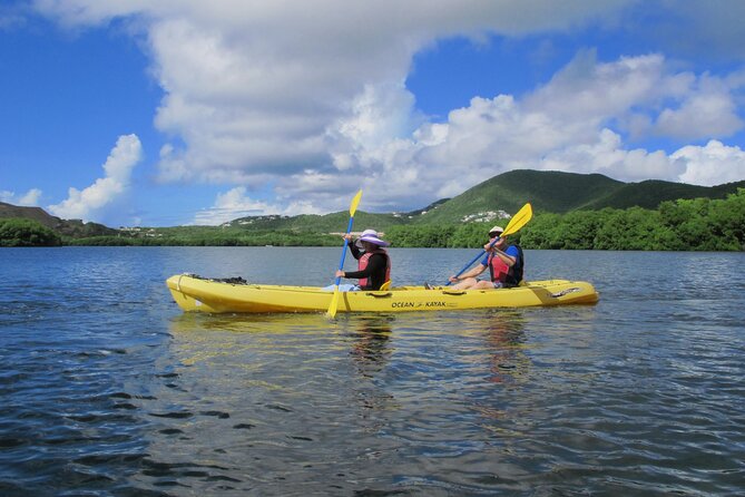 On Your Own: Kayak in the Mangrove Lagoon - Participant Capacity and Cancellation