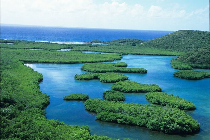On Your Own: Kayak in the Mangrove Lagoon - Customer Feedback