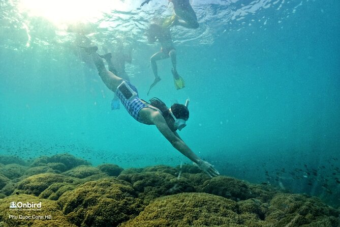 Onbird - PRIVATE ADVENTURE SNORKELING - Explore Half-Moon Reef & Coral Mountain - Hidden Venues Exploration