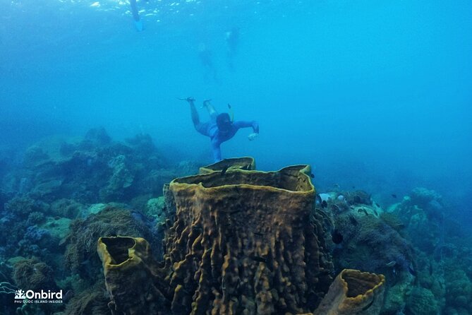 Onbird - PRIVATE ADVENTURE SNORKELING - Explore Half-Moon Reef & Coral Mountain - Departure Time Confirmation