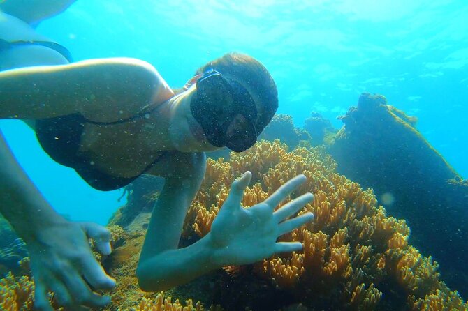 Onbird - PRIVATE ADVENTURE SNORKELING - Explore Half-Moon Reef & Coral Mountain - Restrictions and Requirements