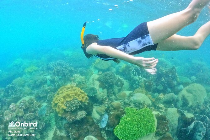 Onbird - Private Family KID-FRIENDLY Snorkeling Trip by Speedboat in Phu Quoc - Pricing and Surcharges