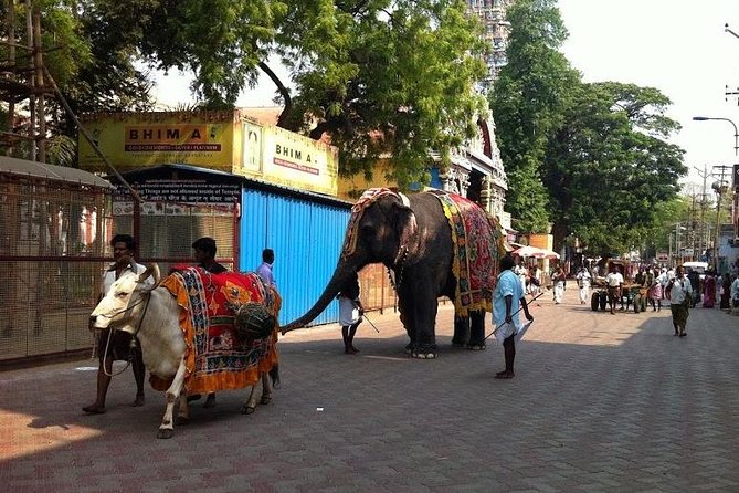 Once Upon A Madurai Trail - Tour Experience