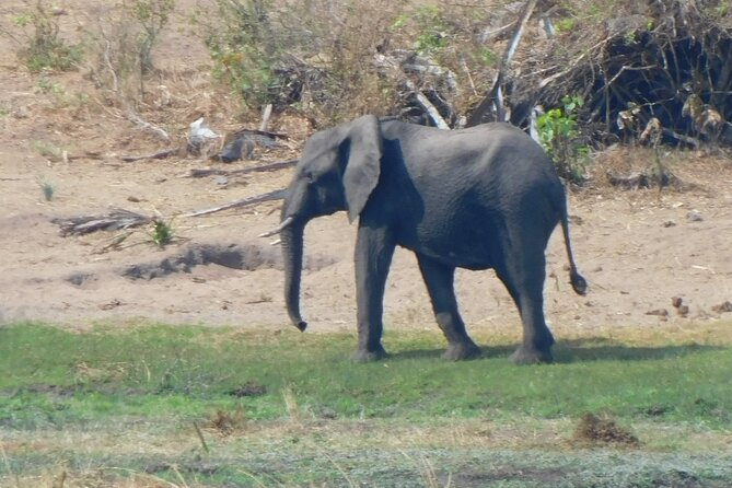 One Day Akagera Safari From Kigali - Booking and Cancellation Policy
