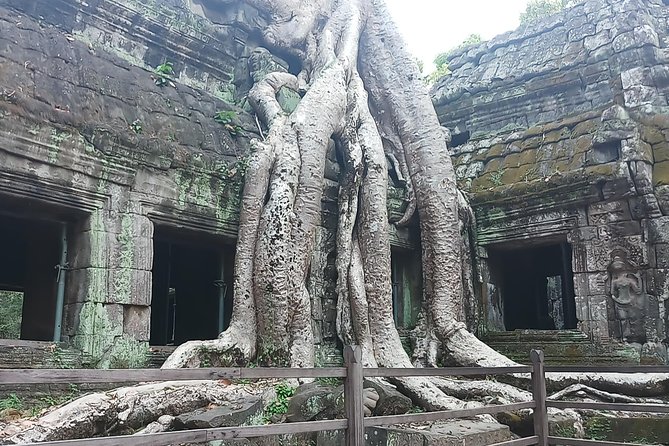 One Day Angkor Temple Tour With Private Driver - Traveler Feedback