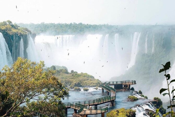 One Day at the Falls Brazil and Argentina Guided With Transfer - Traveler Reviews and Feedback