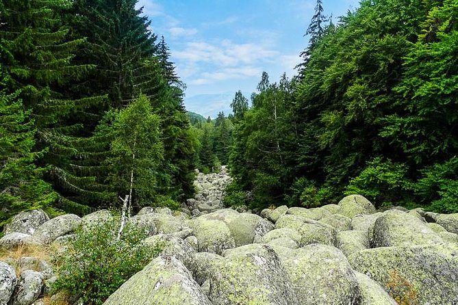 One-day Birding Around Sofia - Inclusions and Exclusions