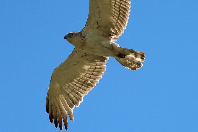 One-day Birding Around Sofia - Tour Duration and Itinerary