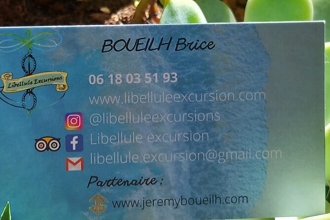 One-Day Boat Trip to the Lagoon of Guadeloupe - Scenic Views and Memorable Moments