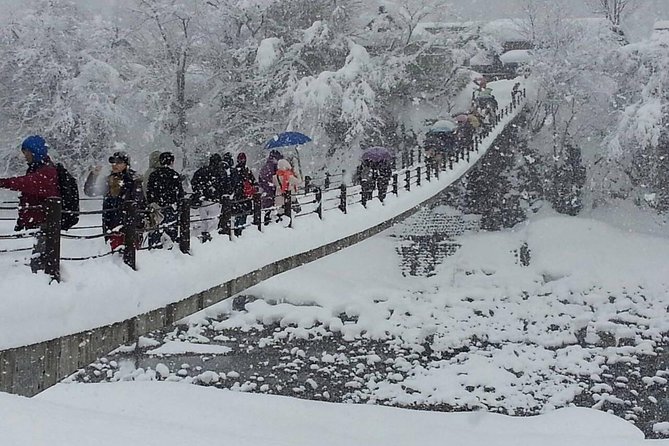 One-Day Bus Tour Departing From Kanazawa StationShirakawa-Go and Gokayama - Two World Heritage Villages Enjoyable Bus Tour - Tour Group Size