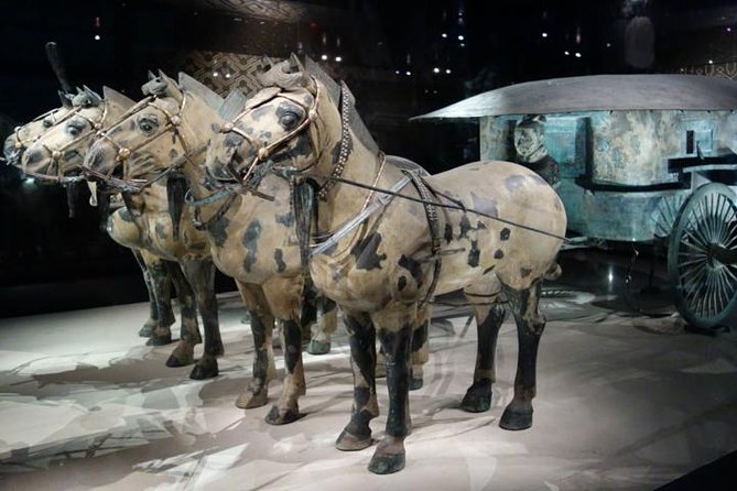 One Day Chengdu Xian Tour by Bullet Train - Arrival and Local Guide