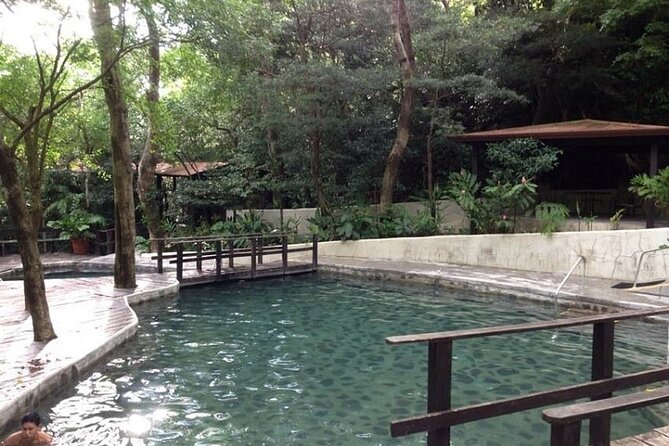 One Day Combo Tour Zipline, Horseback Riding, Host Springs Family Packages - Activities Offered