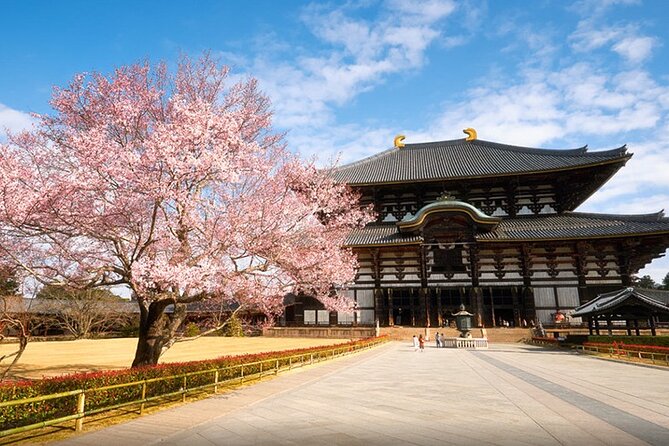 One Day Customized Self-Guided Tour in Nara - Inclusions
