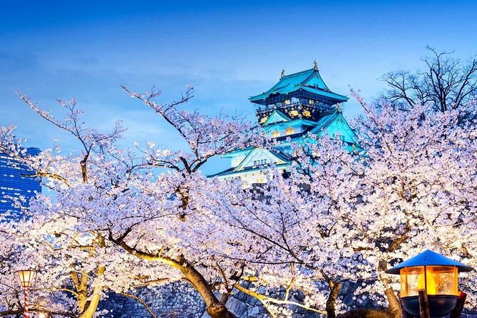 One Day Customized Self-Guided Tour in Osaka - Vehicle Capacities