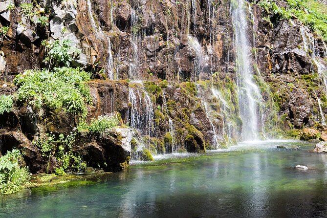 One-Day Dashbashi Canyon Guided Group Tour From Tbilisi - Company Information