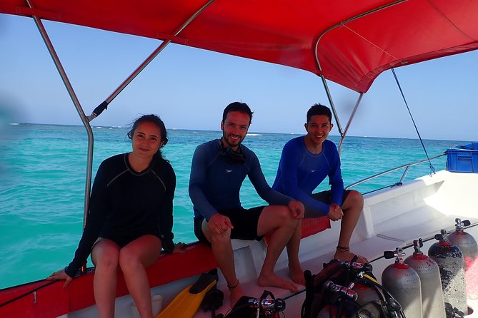 One-Day Diving Mini Course - Discover Scuba Diving - Positive Traveler Reviews