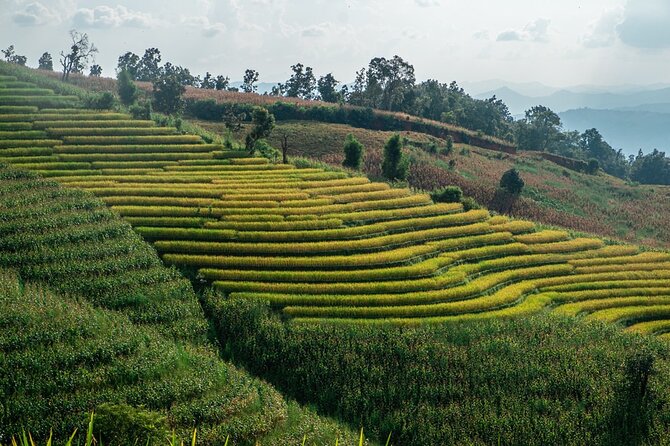 One Day Doi Inthanon & Trekking at Pha Dok Siew - Inclusions and Pickup Information