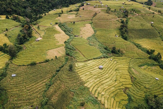 One Day Doi Inthanon & Trekking at Pha Dok Siew - Visiting Doi Inthanon