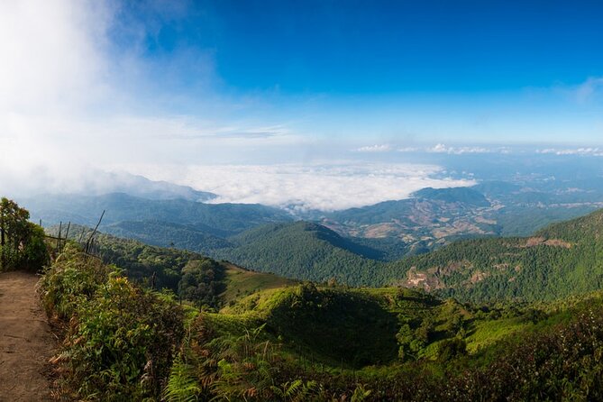 One Day Doi Inthanon & Trekking at Pha Dok Siew - Trekking at Pha Dok Siew