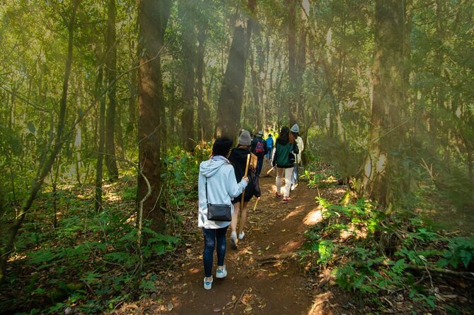 One Day Doi Inthanon & Trekking at Pha Dok Siew - Flexible Cancellation Policy