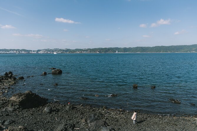 One Day E Bike Round Tour in Sakurajima - Whats Included