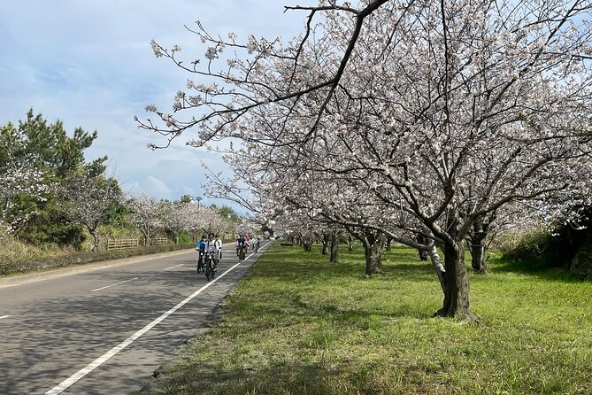 One Day E Bike Round Tour in Sakurajima - Activity Details