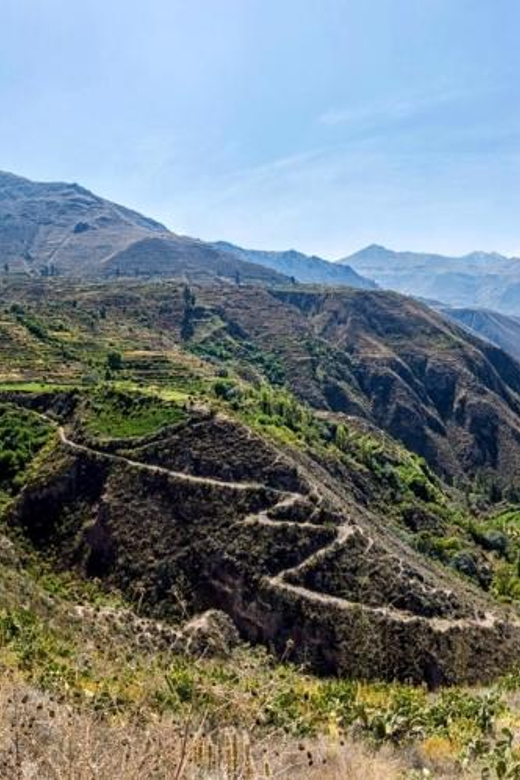 One Day Excursion to Colca Canyon + Transfer to Puno - Transportation and Pickup