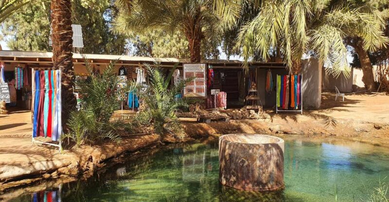 One-Day Excursion to Ksar Ghilane in a 4x4 - Key Points