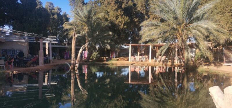 One-Day Excursion to Ksar Ghilane in a 4x4 - Natural Hot Springs Experience