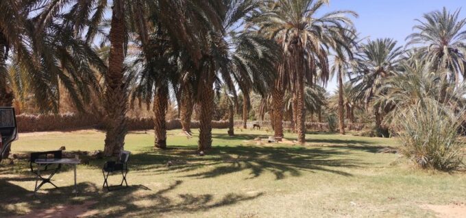 One-Day Excursion to Ksar Ghilane in a 4x4 - Cultural Insights From a Guide