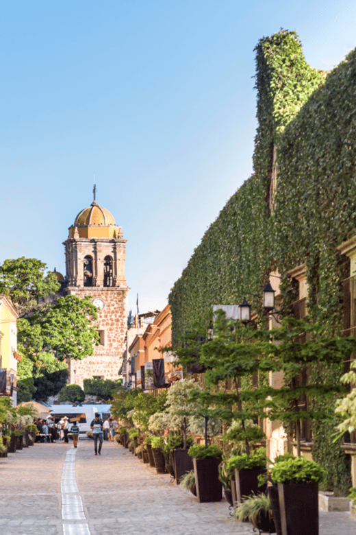 One Day Experience Tequila Distillery and a Local Brewery - Itinerary Highlights