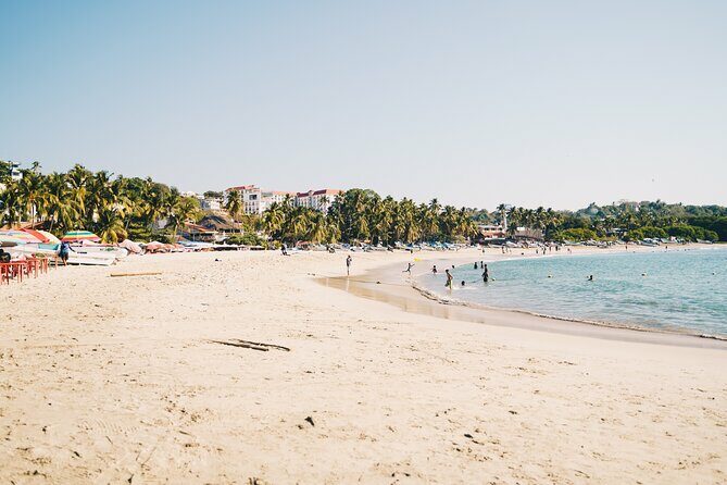One Day from Oaxaca Getaway to Puerto Escondido - The Reviews: Authentic Voices