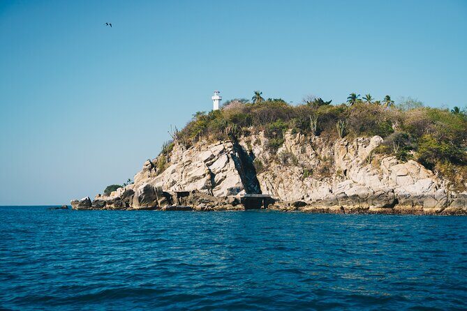 One Day from Oaxaca Getaway to Puerto Escondido - Who This Tour Is Best For