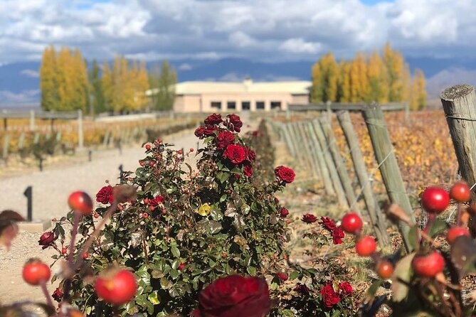 One Day Grapes on the Edge. Uco Valley Wine Tour - Tasting the Terroir-Driven Wines