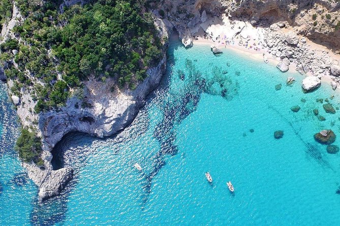 One Day Guided Boat Tour Along the Baunei Coast. - Visiting the Grotta Del Fico