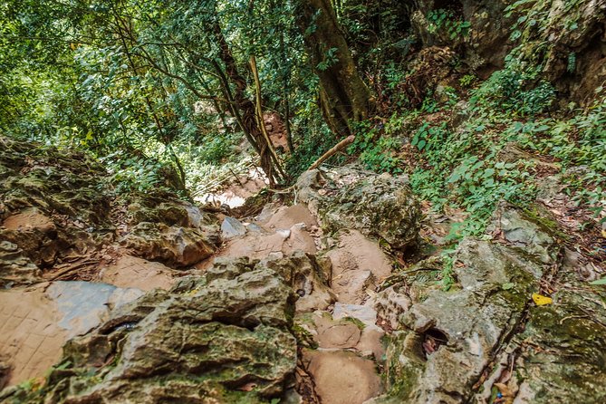 One Day Guided Tour: Kayaking, Zipline & Tubing in the Cave From Vang Vieng - Picnic Lunch and Tubing