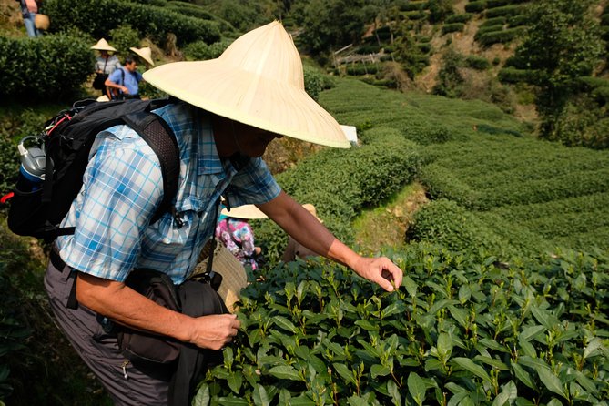 One-Day Hangzhou Dragon Well Tea Culture & West Lake Private Tour - West Lake Boat Cruise