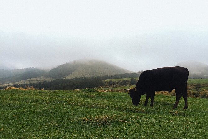 One Day Hike Around Taipeis Yangmingshan National Park - Good To Know