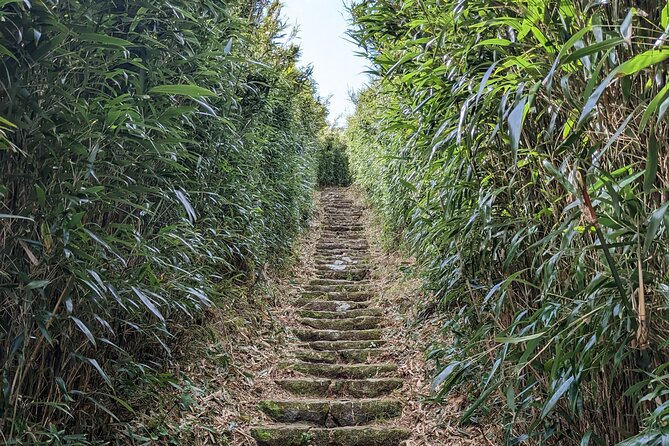 One Day Hike Around Taipeis Yangmingshan National Park - Pricing and Cancellation