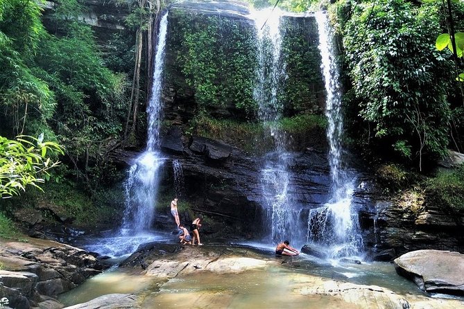 One Day Hiking and Elephant Experience by Chiang Mai Elephant Home - Itinerary and Highlights