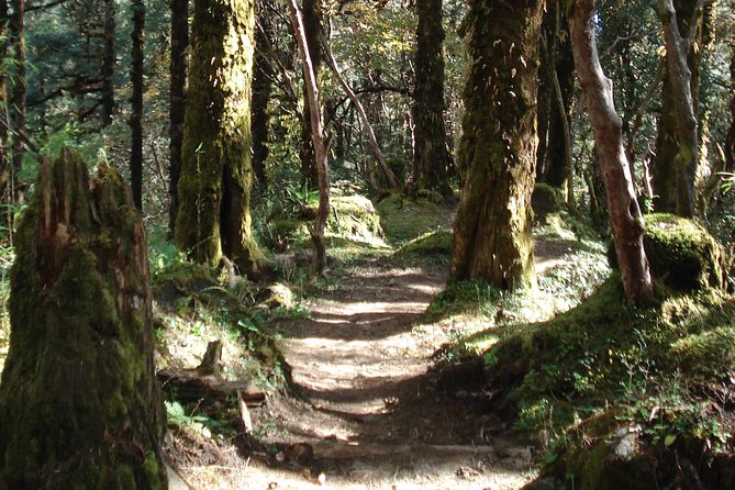 One-Day Hiking and Trekking in Kathmandu Valley - Key Points