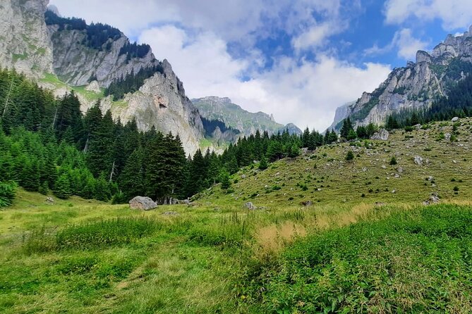 One Day Hiking in Bucegi Natural Park-Private Day Tour From Brasov - Pickup Information