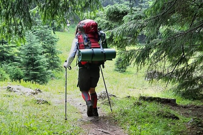 One Day Hiking in Bucegi Natural Park-Private Day Tour From Brasov - Physical Requirements