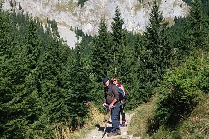 One Day Hiking in Bucegi Natural Park-Private Day Tour From Brasov - Itinerary