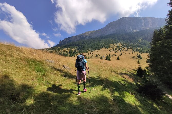 One Day Hiking in Bucegi Natural Park-Private Day Tour From Brasov - Pricing and Booking